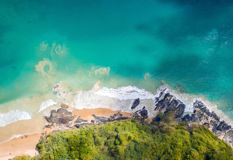 aerial view of beach and ocean